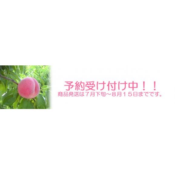 ご奉仕品！新太郎農園の桃（ご自宅用３kg）03