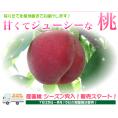 新太郎農園の桃３ｋｇ（ご贈答用）