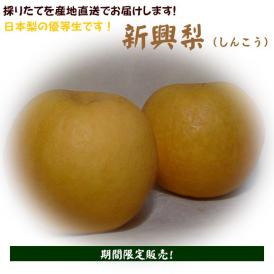 新興梨（しんこうなし）3kg