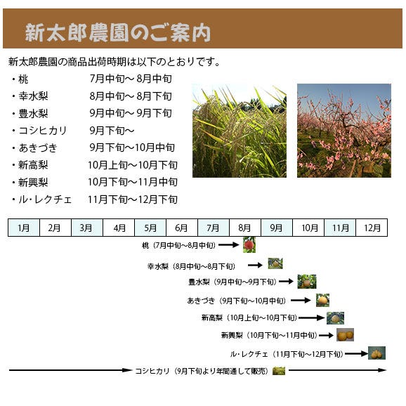 新興梨（しんこうなし）3kg02