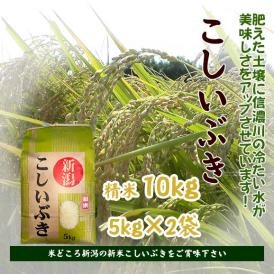 令和7年産先行予約】新潟産新米こしいぶき(R7年産)5kg 令和7年産先行予約】新潟産新米こしいぶき(R7年産)5kg