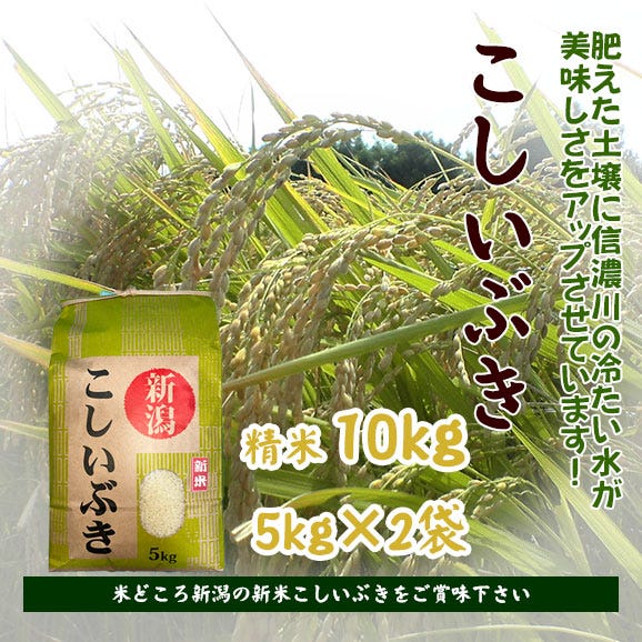 令和7年産先行予約】新潟産新米こしいぶき(R7年産)5kg×2個 令和7年産先行予約】新潟産新米こしいぶき(R7年産)5kg×2個