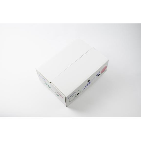 シャインマスカット　約2.5kg　ご奉仕品（4～６房）05