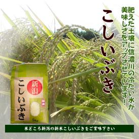【令和7年産先行予約】新潟産新米こしいぶき（R７年産）５kg×3個