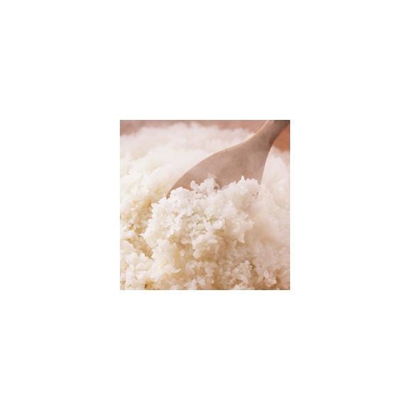 【令和7年産先行予約】新潟産新米こしいぶき（R７年産）５kg×3個02