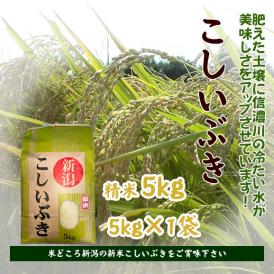 玄米 佐賀県産 さがびより 30kg 令和6年産 |米問屋 蔵之助の 玄米 佐賀県産 さがびより 30kg 令和6年産 |米問屋 蔵之助の