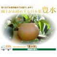 豊水梨5kg