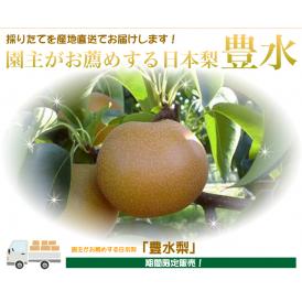 豊水梨５kg