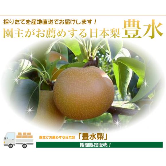 豊水梨5kg01