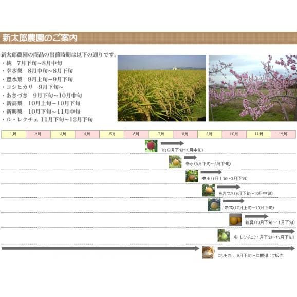 豊水梨5kg04