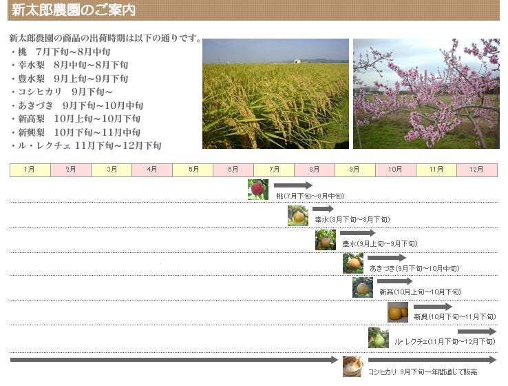 豊水梨5kg_説明画像03