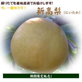 新高梨（５kg）