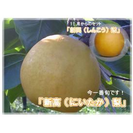 果樹園の香りセット（新米コシヒカリと旬の梨）