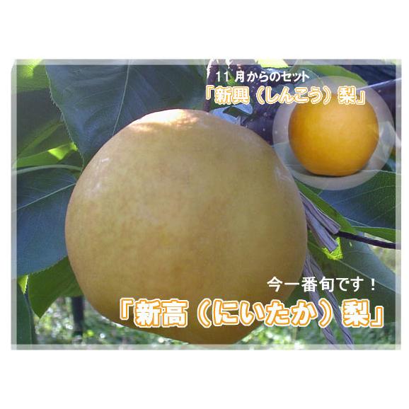 果樹園の香りセット（新米コシヒカリと旬の梨）01
