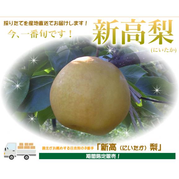 果樹園の香りセット（新米コシヒカリと旬の梨）05