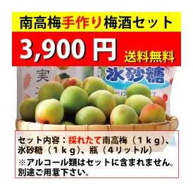 本場和歌山の自家農園で採れたての南高梅をお届けします。期間限定・数量限定の商品となっております。