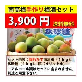 【送料無料・同梱不可】南高梅手作り梅酒セット