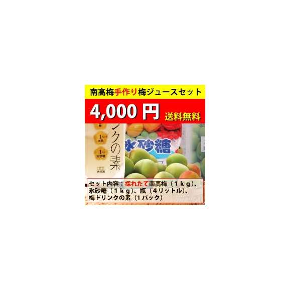 【送料無料・同梱不可】南高梅手作り梅ジュースセット01