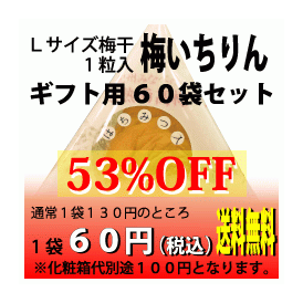 ギフト用個包装Lサイズ梅干１粒入「梅いちりん」６０袋セット