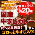 【全国送料無料】　100％国産牛すじ＆たまねぎ使用　牛すじカレー210g　中辛　1パック入り　レトルトでは味わえない本格派カレー　お湯ポチャ10分で完成！