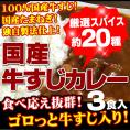 30000食突破記念の大特価【全国送料無料】100％国産牛すじ＆たまねぎ使用　牛すじカレー210g　中辛　3パック入り　レトルトでは味わえない本格派カレー　お湯ポチャ10分で完成！