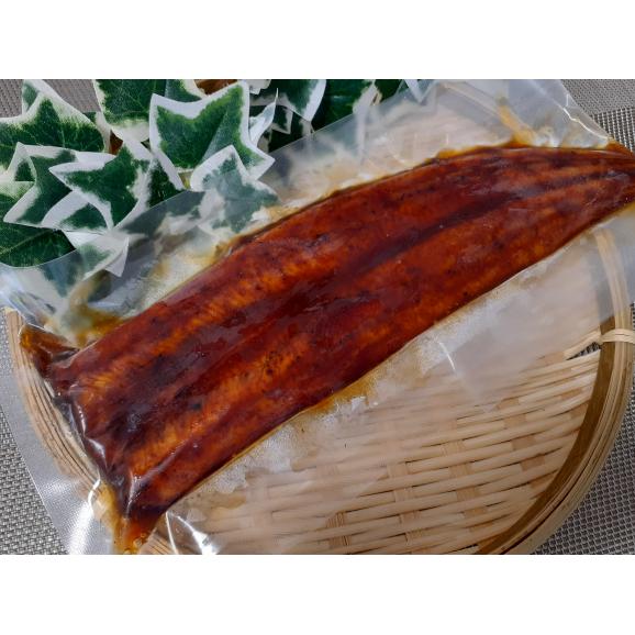 高級品★一級品！無頭うなぎの蒲焼き10ｋｇ/30尾 を本日特売！