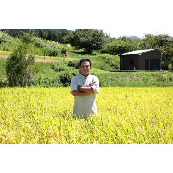 【新米】令和４年　新潟県糸魚川産コシヒカリ　特別栽培米 白米 　1０ｋｇ03