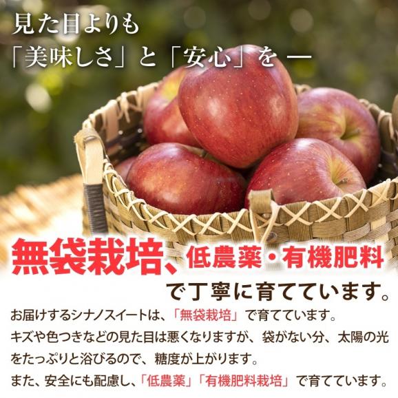 りんご リンゴ 林檎 福島産シナノスイート ご家庭用５kg(中〜大玉 １２〜１６玉）【送料無料】訳あり シナノスイート03