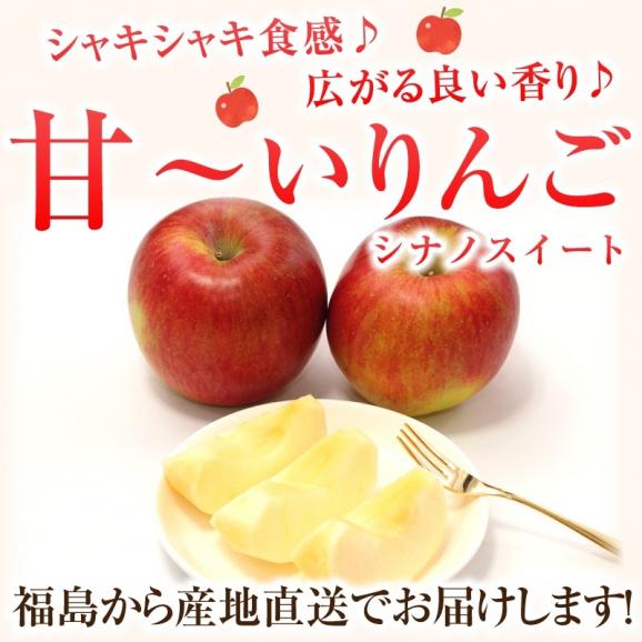 りんご リンゴ 林檎 福島産シナノスイート ご家庭用５kg(中〜大玉 １２〜１６玉）【送料無料】訳あり シナノスイート05