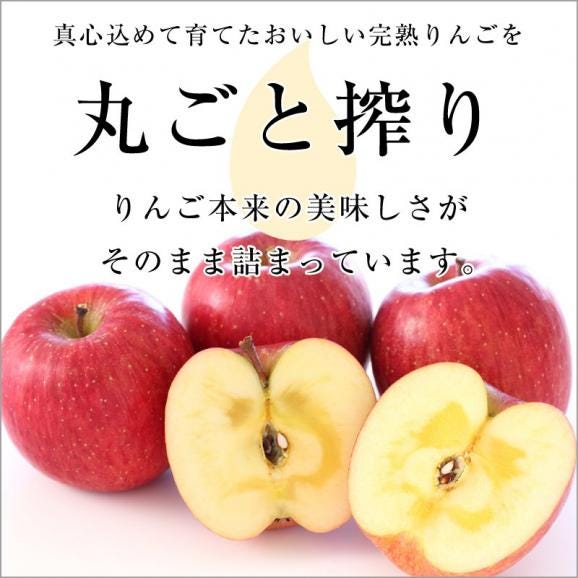 信州（長野県）小布施産 りんごジュース 果汁100％ 1,000ml×２本 ...