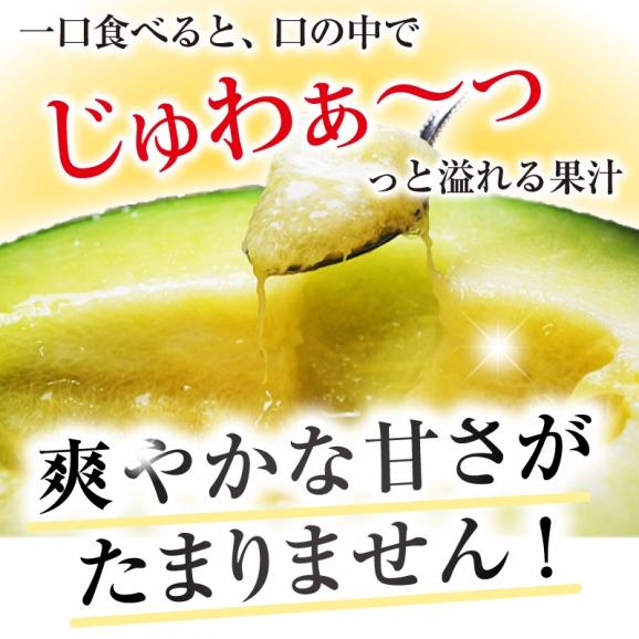 庄内砂丘特産 アンデスメロン 3L4個 贈答用 www.gastech.com.tr