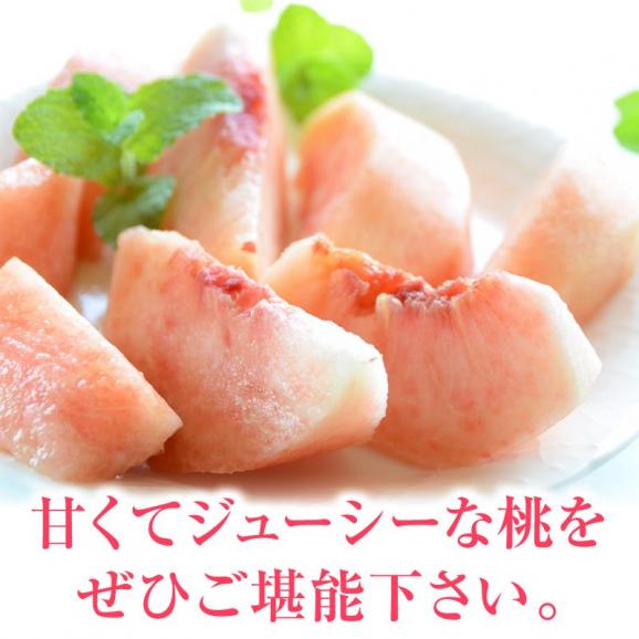 桃 白桃 福島産桃 まどか秀品約 約３kg(約９～１２玉)【送料無料】福島産 桃 もも モモ04