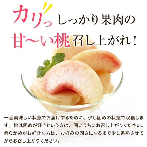 桃 もも モモ 福島県産 さくら白桃 秀品  約２kg(約６〜８玉)【送料無料】 ご贈答 プレゼント05