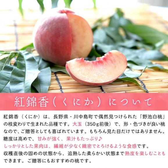 桃 白桃 福島産桃 紅錦香（くにか）秀品約２kg(約６～８玉)【送料無料】福島産 桃 もも モモ03