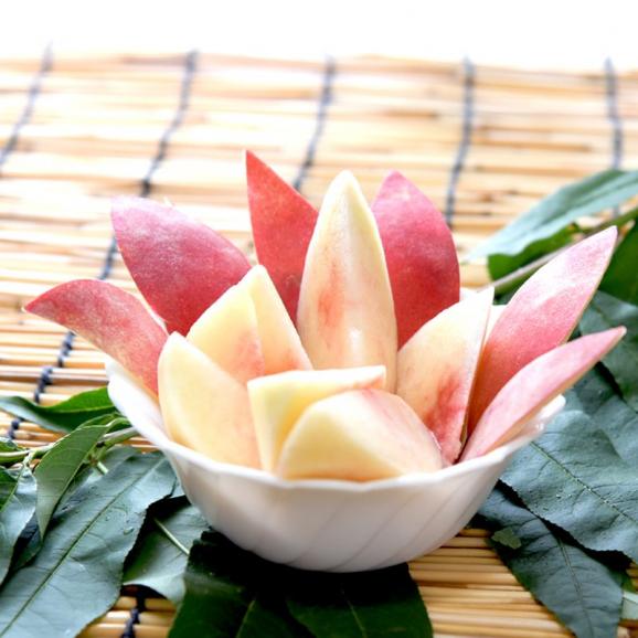 桃 白桃 福島産桃 紅錦香（くにか）秀品約２kg(約６～８玉)【送料無料】福島産 桃 もも モモ06