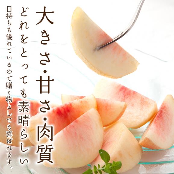 桃 白桃 福島産桃 川中島白桃（かわなかじまはくとう）秀品約２kg(約６～８玉)【送料無料】福島産 桃 もも モモ02