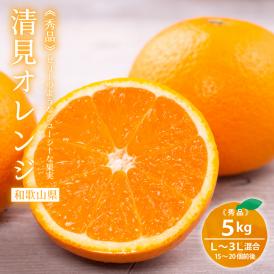和歌山産 清見オレンジ 5kg 秀品 L〜3Lサイズ混合（15〜20玉前後）【送料無料】オレンジ  かんきつ 柑橘 清見 ミカン フルーツ 果物