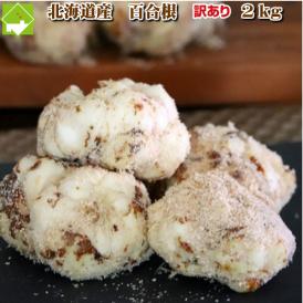 北海道富良野産　訳あり　百合根（ゆり根）　２kg 【送料無料】