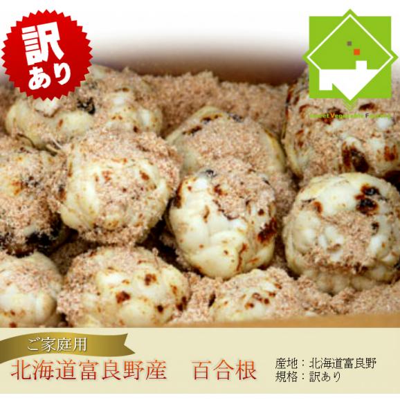 北海道富良野産　訳あり　百合根（ゆり根）　２kg 【送料無料】04