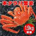 特大　本タラバ蟹姿　１．９ｋｇ前後×１尾　【送料無料】《浜ゆで急速冷凍》