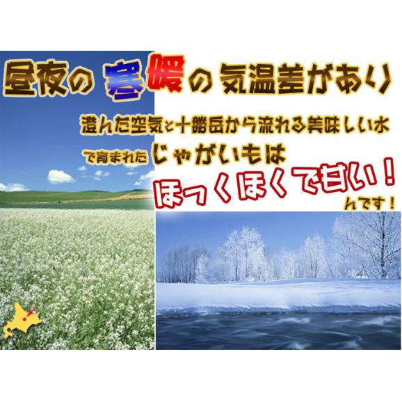 じゃがいも 北海道 富良野産 男爵　 10ｋｇ SサイズからLサイズ込 送料無料04
