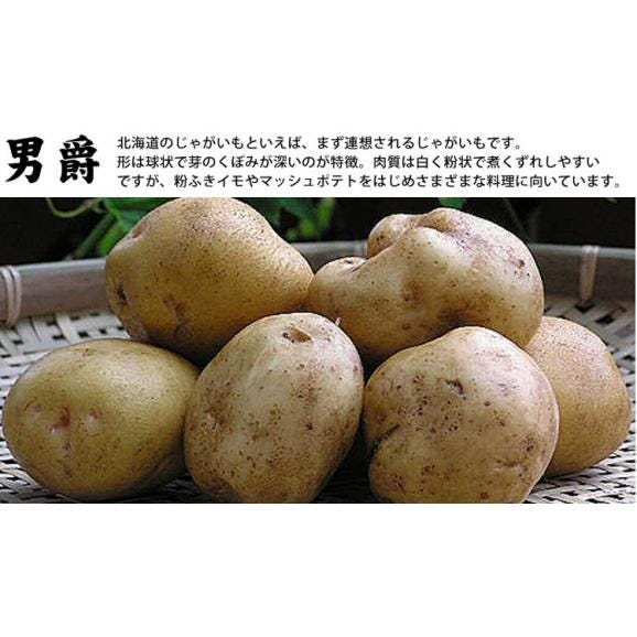じゃがいも 北海道 富良野産 男爵　 10ｋｇ SサイズからLサイズ込 送料無料05