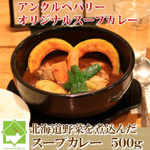 【選べる辛さ】北海道野菜を煮込んだスープカレー　　１パック(約５００ｇ約２人前）01