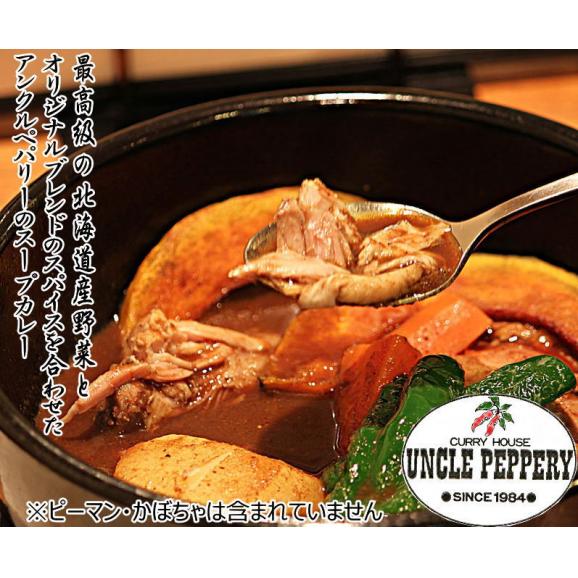 【選べる辛さ】北海道野菜を煮込んだスープカレー　　１パック(約５００ｇ約２人前）04