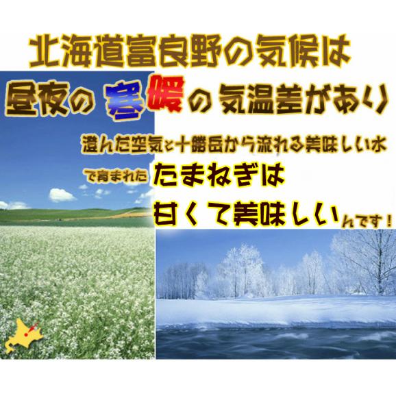 たまねぎ 北海道富良野産　低農薬栽培 玉葱 20kg SからLサイズ混み05