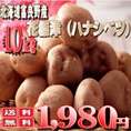 北海道富良野産　稀少なじゃがいも　花標津（ハナシベツ）　10ｋｇ（S-L込）　　【送料無料】