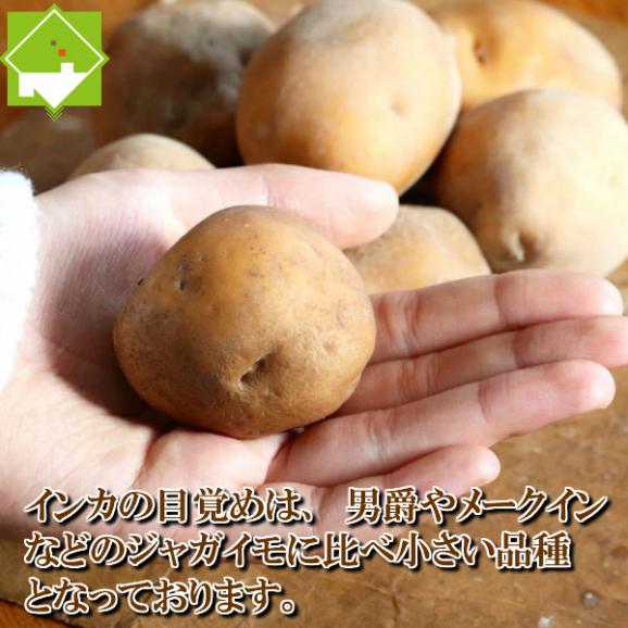 北海道産 じゃがいも　インカのめざめ　１０ｋｇ【送料無料】　日時指定不可02