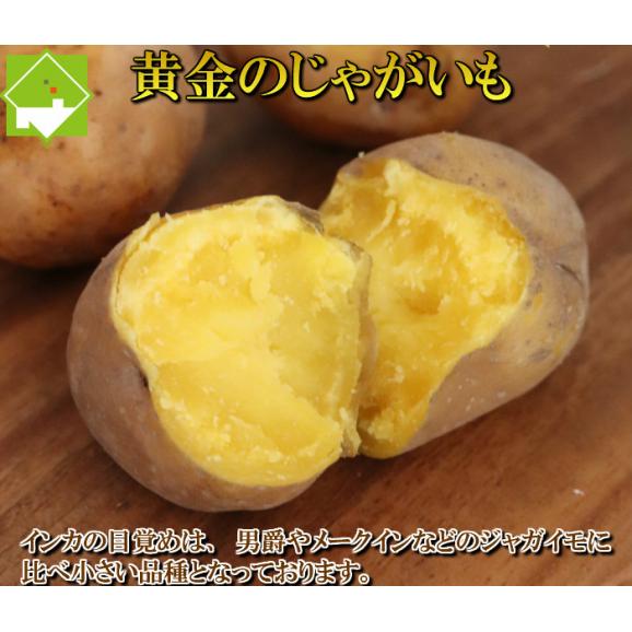 北海道産 じゃがいも　インカのめざめ　１０ｋｇ【送料無料】　日時指定不可03