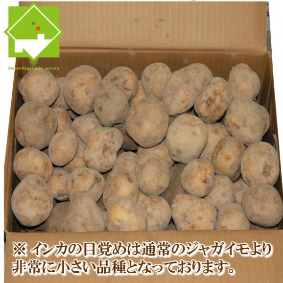 北海道産 じゃがいも　インカのめざめ　１０ｋｇ【送料無料】　日時指定不可06