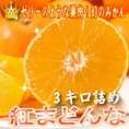 幻の最高級みかん！紅まどんな（ベニマドンナ）７～１５玉（３キロ前後入り）【送料無料】